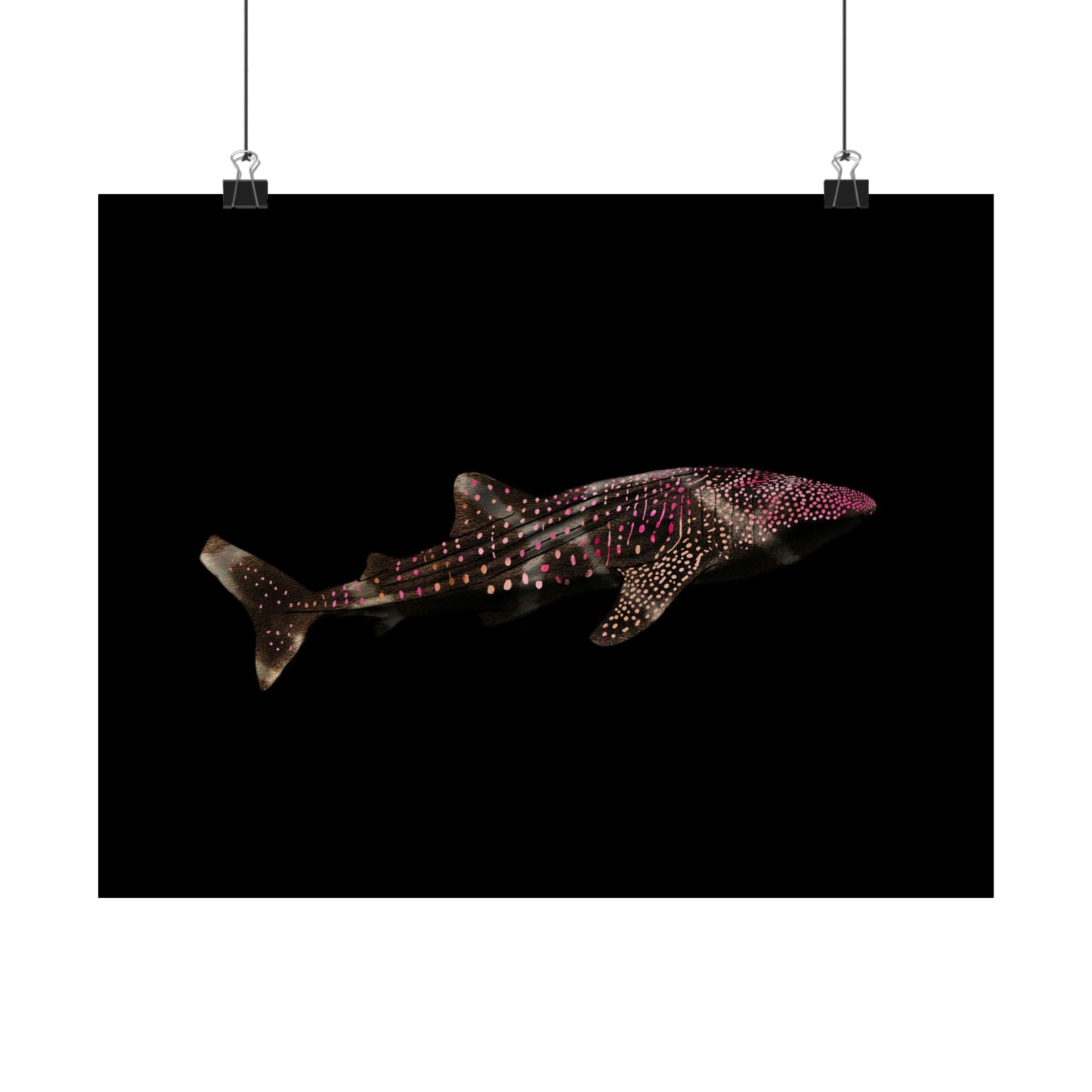 Whale Shark in Dark Waters