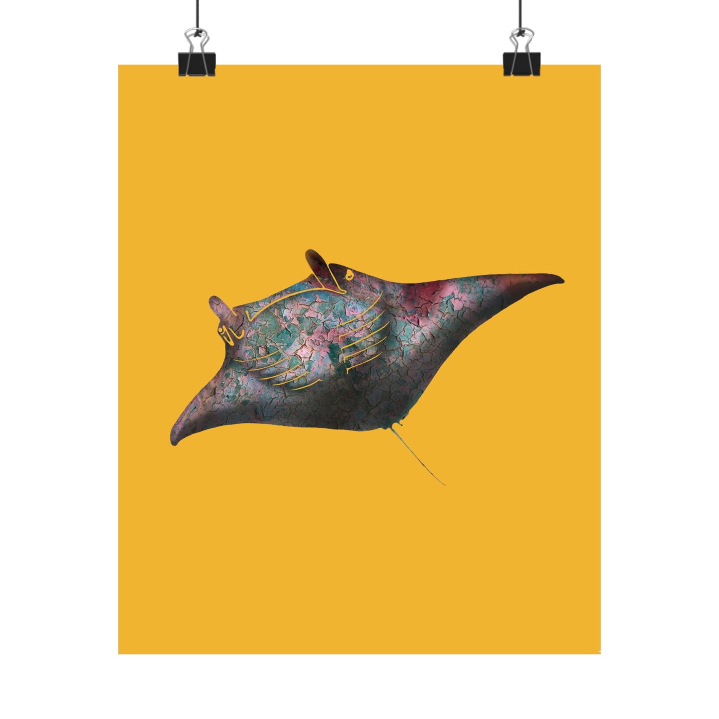 Manta Ray - Colorful