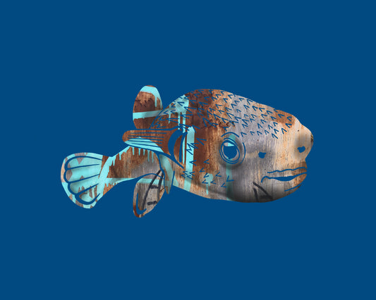 Puffer Fish