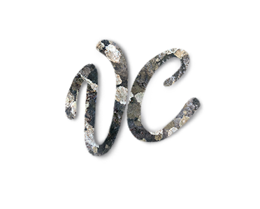 Vanessa Conroy Art logo
