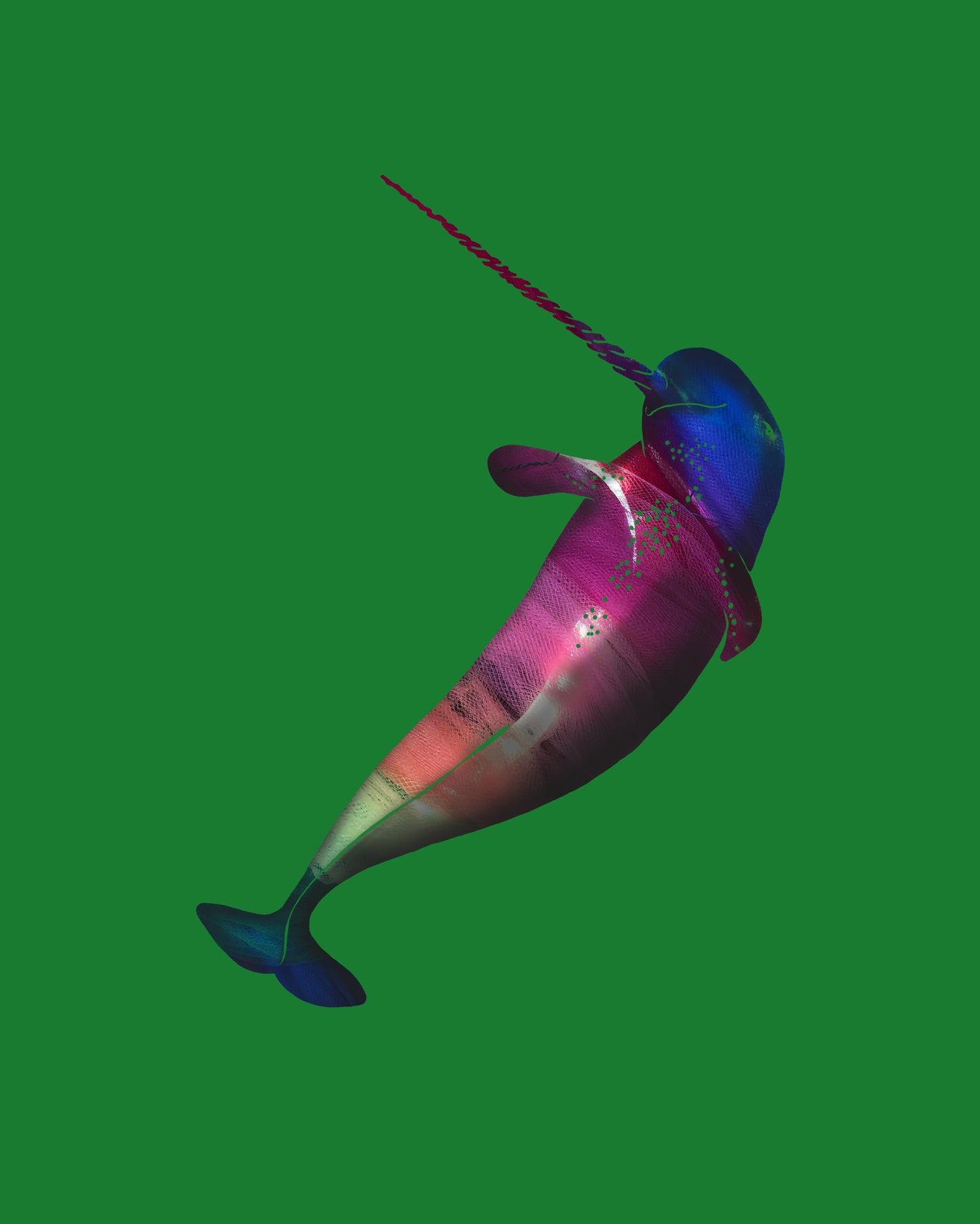 Narwhal - Rainbow