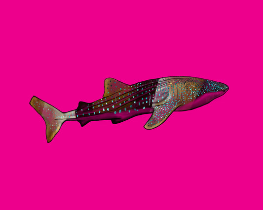 Whale Shark on Hot Pink